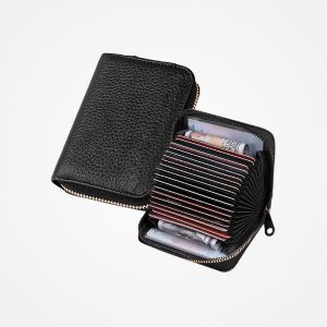 Credit Card Holder